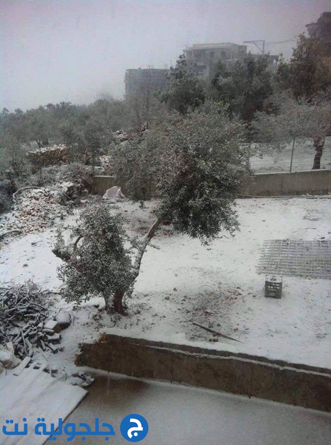 الثلوج تكسي قرى الجليل وتعطل المدارس